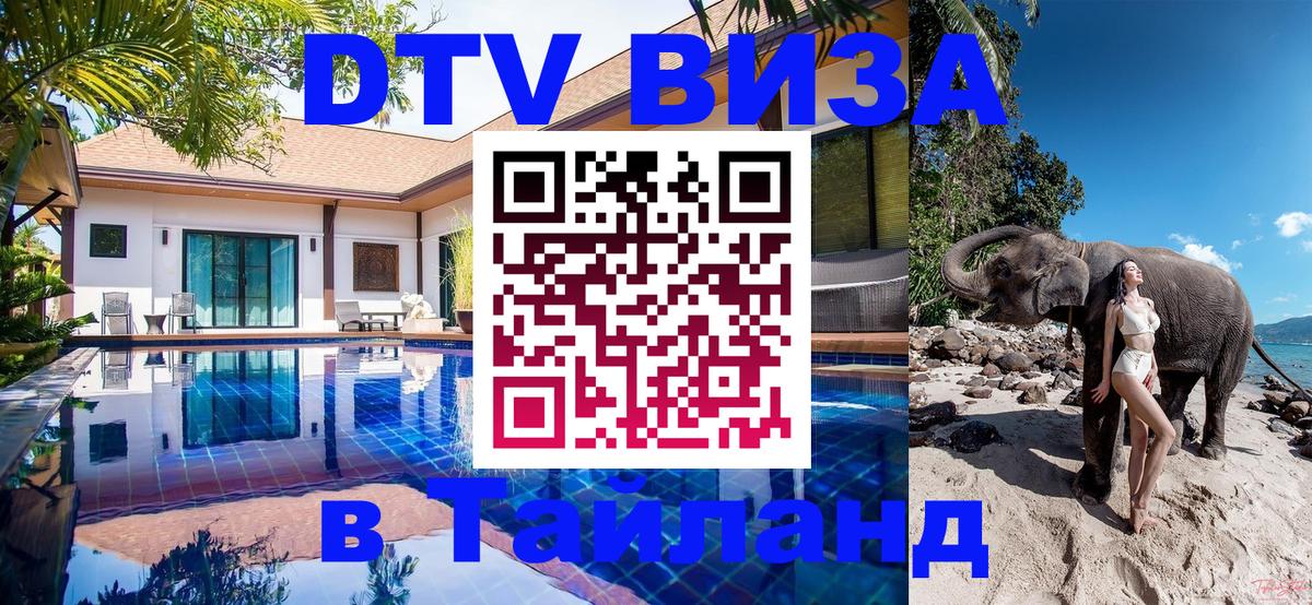 Сколько стоит DTV виза — актуальные цены, оформление даже без документов - Элиста 